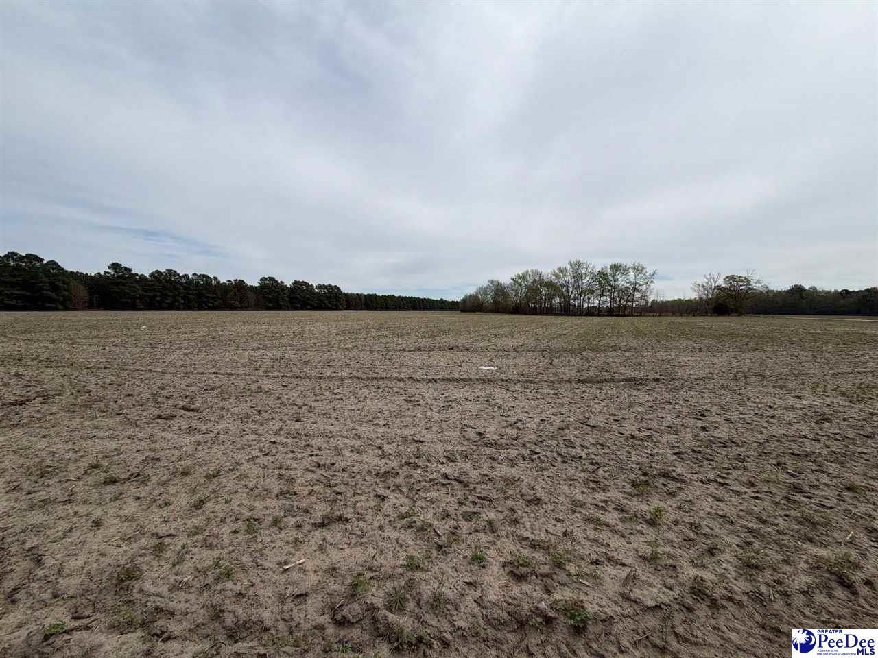 Mta 3 Judson Rd Photo 21