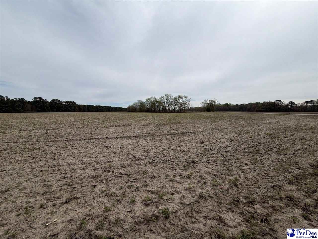 Mta 3 Judson Rd Photo 22