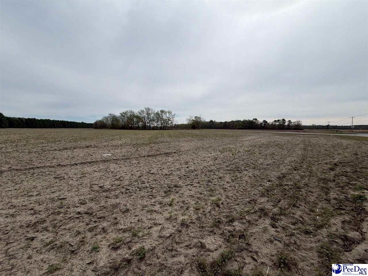 Mta 3 Judson Rd Photo 23