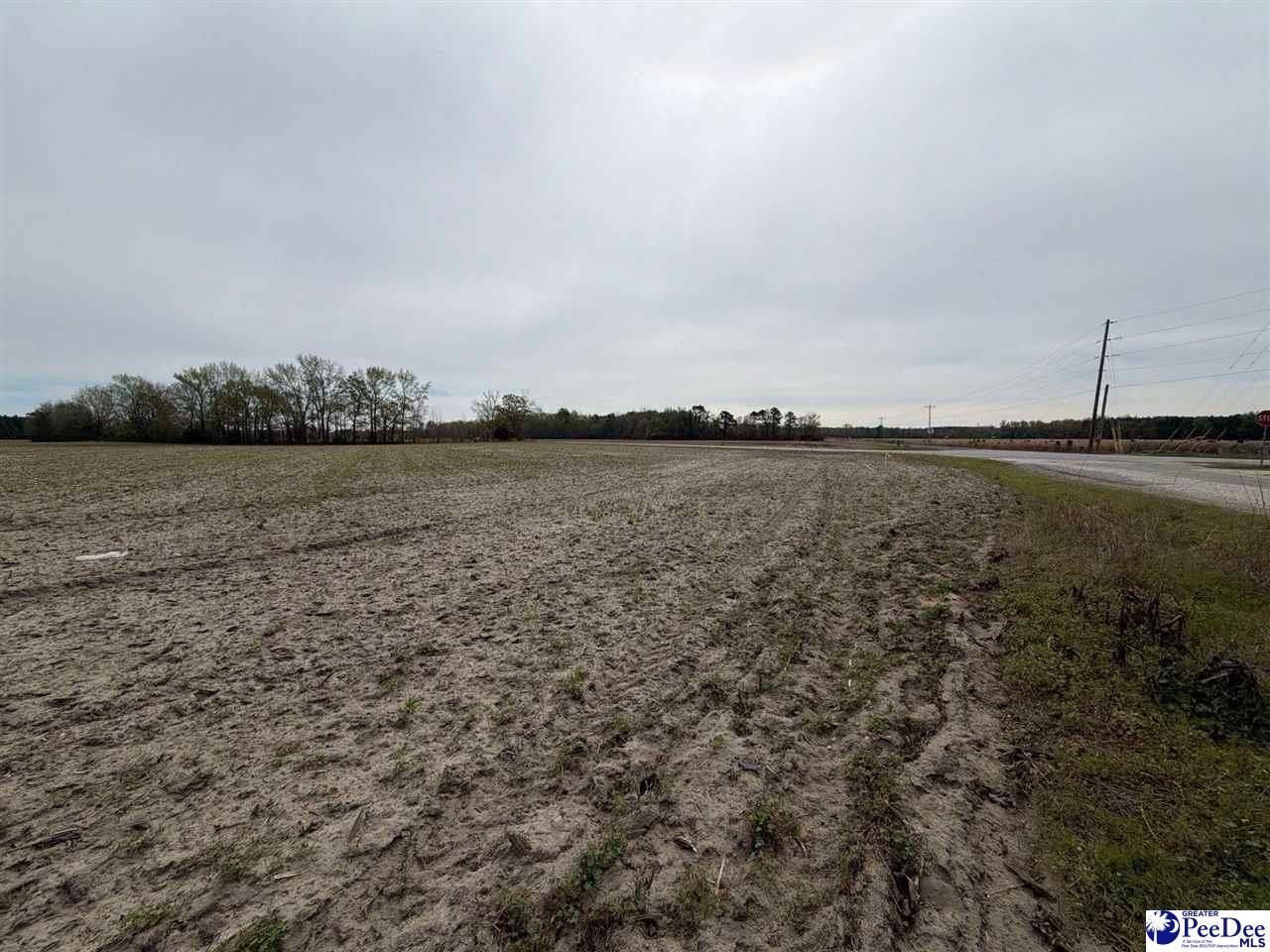 Mta 3 Judson Rd Photo 24