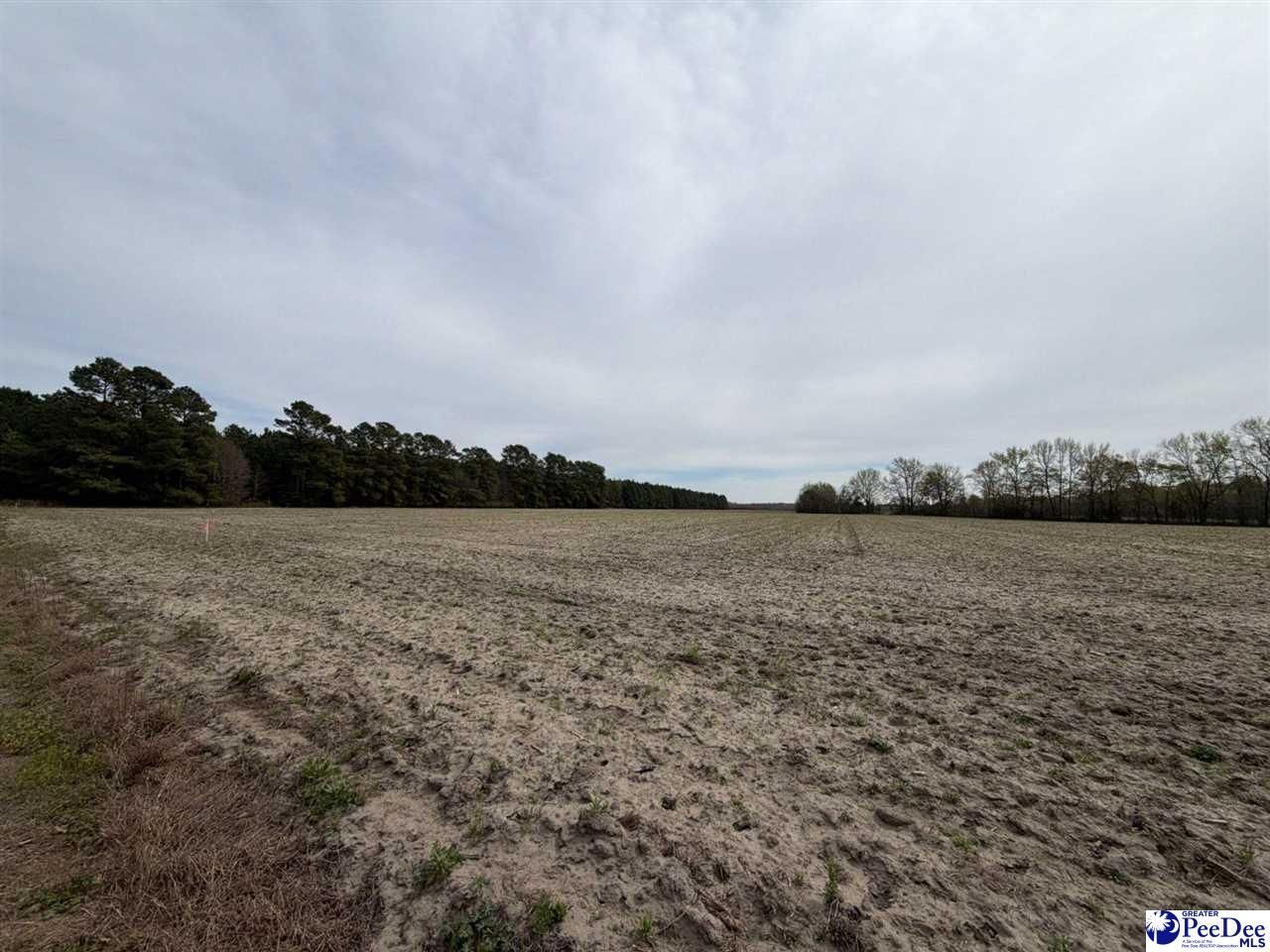 Mta 3 Judson Rd Photo 25