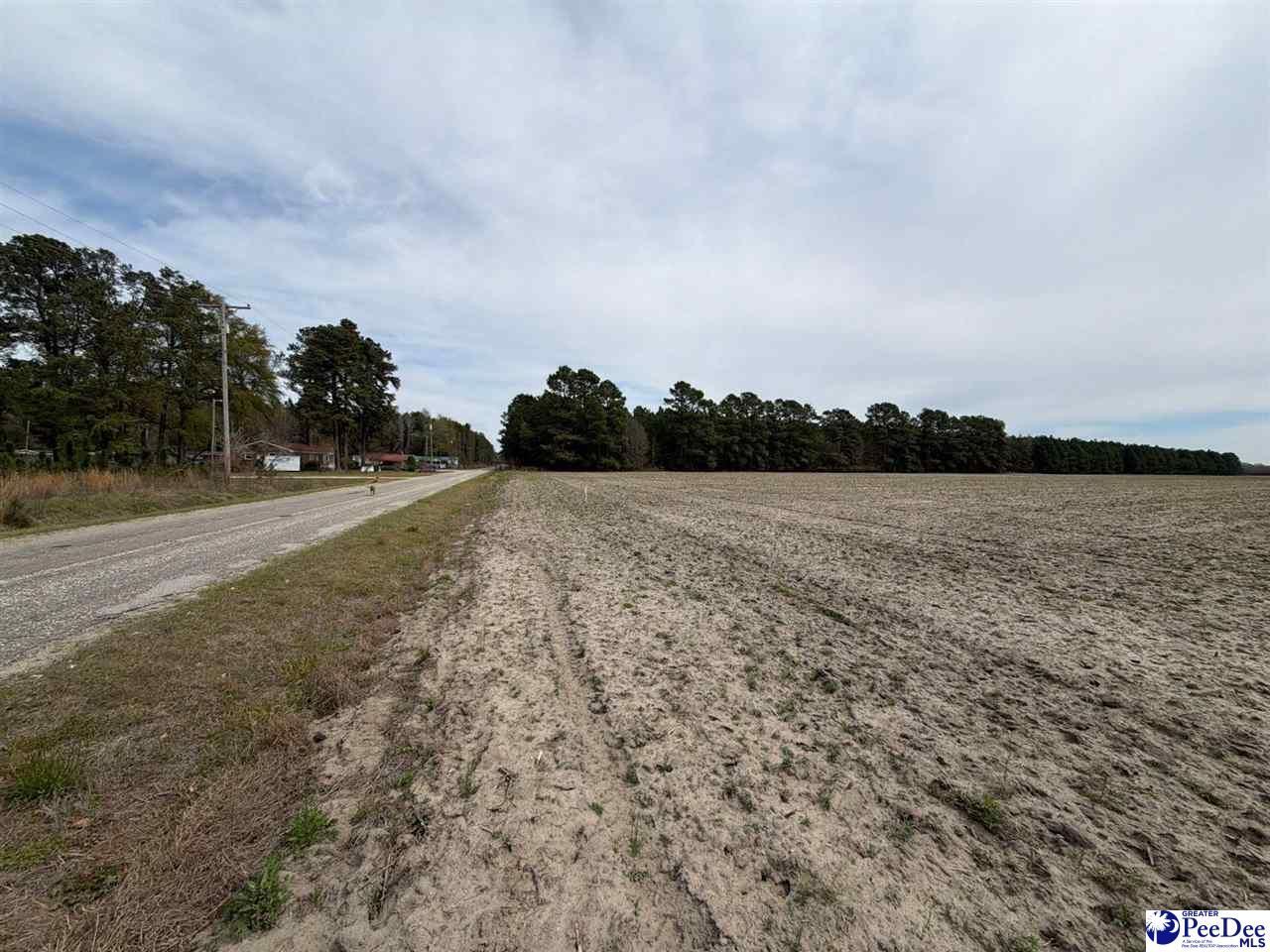 Mta 3 Judson Rd Photo 26