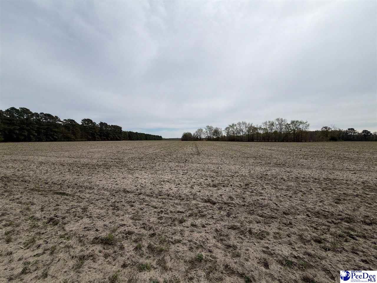 Mta 3 Judson Rd Photo 27