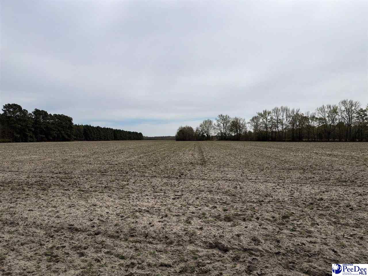 Mta 3 Judson Rd Photo 28