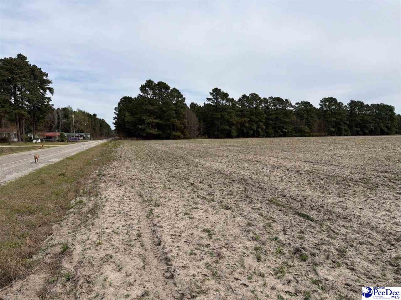 Mta 3 Judson Rd Photo 29