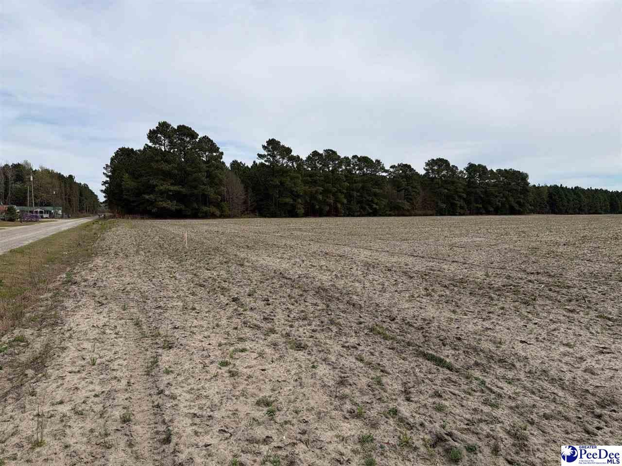 Mta 3 Judson Rd Photo 30