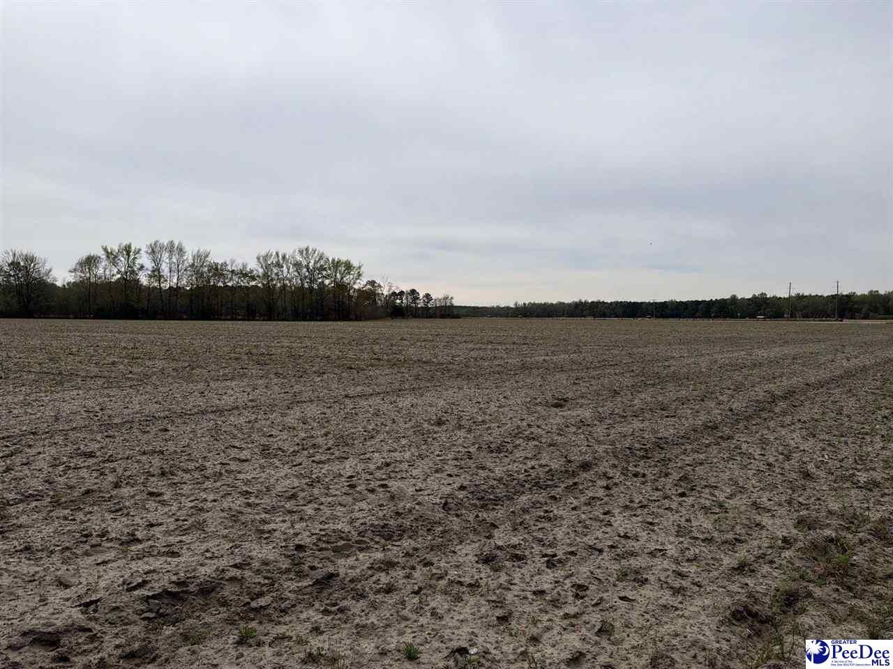 Mta 3 Judson Rd Photo 31