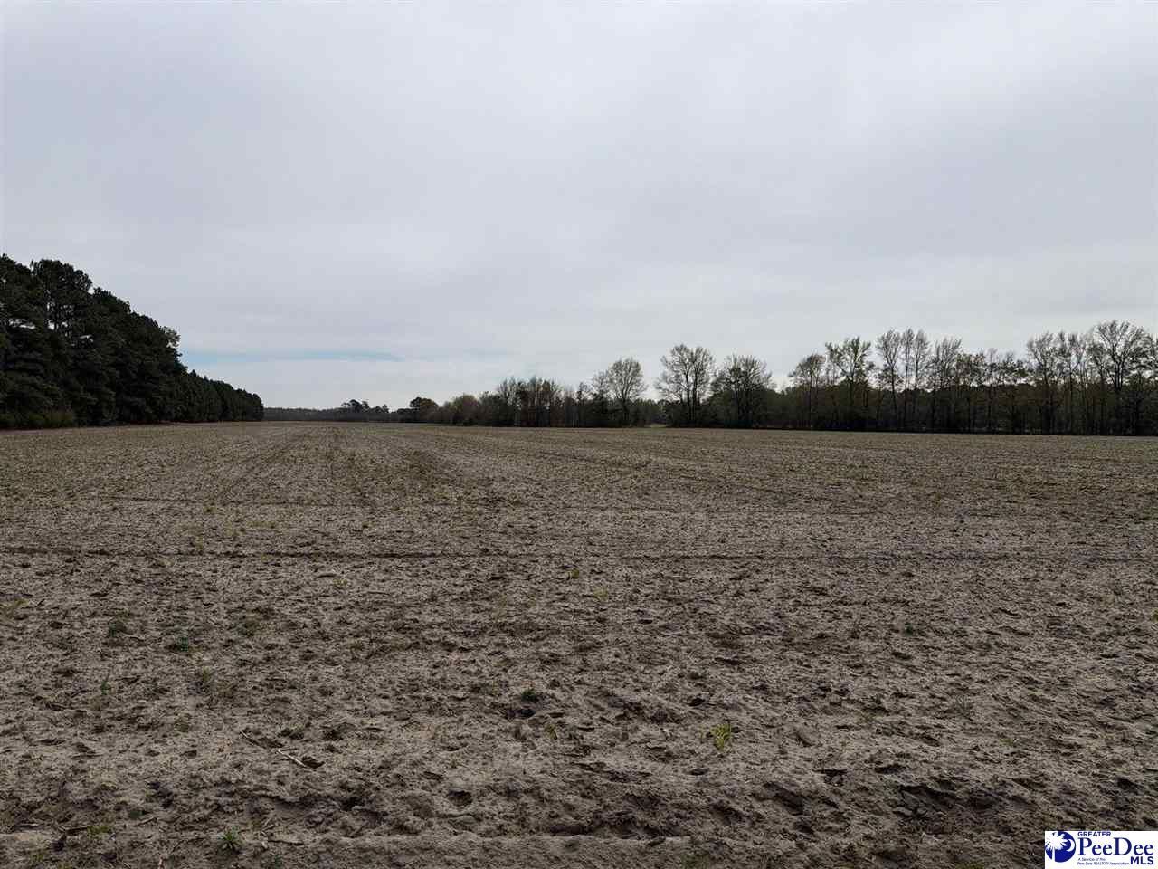 Mta 3 Judson Rd Photo 33