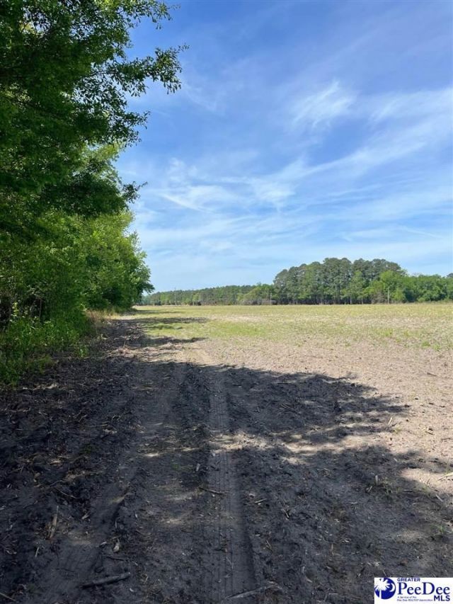 Mta 3 Judson Rd Photo 34