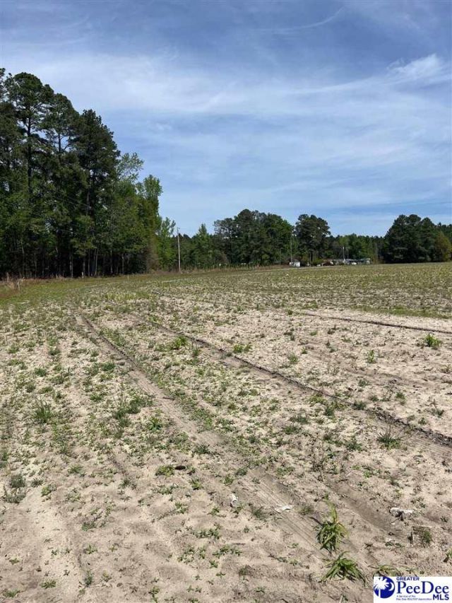 Mta 3 Judson Rd Photo 35