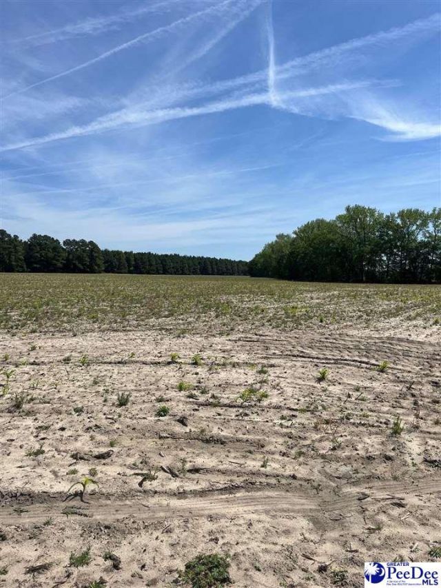 Mta 3 Judson Rd Photo 36