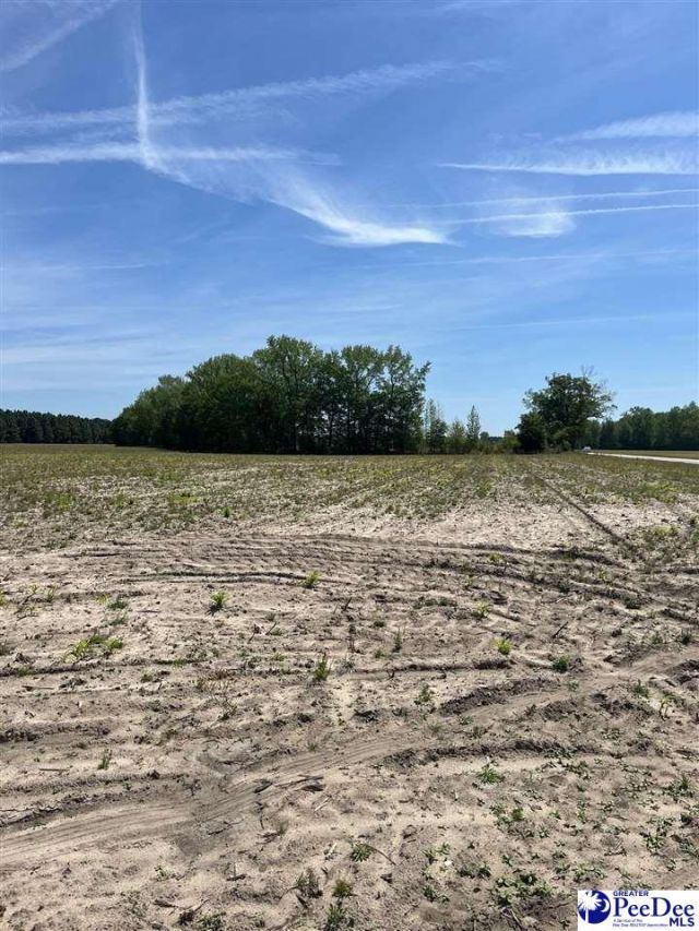 Mta 3 Judson Rd Photo 37