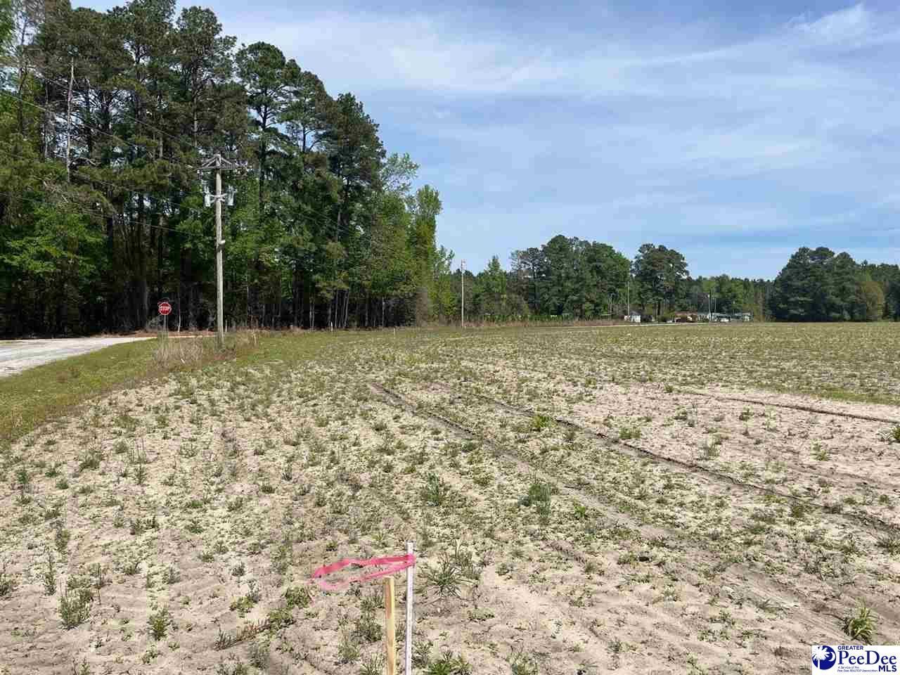 Mta 3 Judson Rd Photo 38