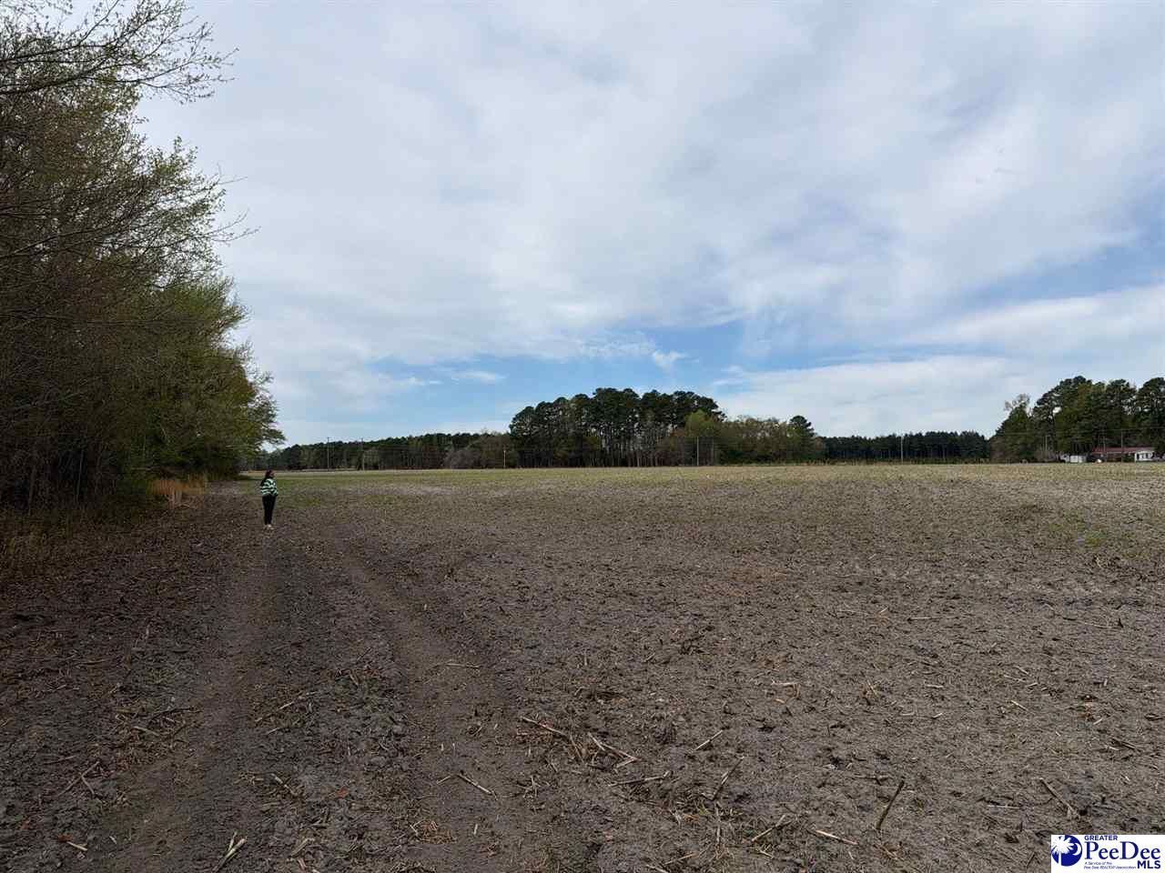 Mta 3 Judson Rd Photo 4