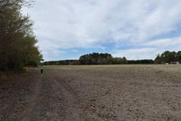 Mta 3 Judson Rd photo 4