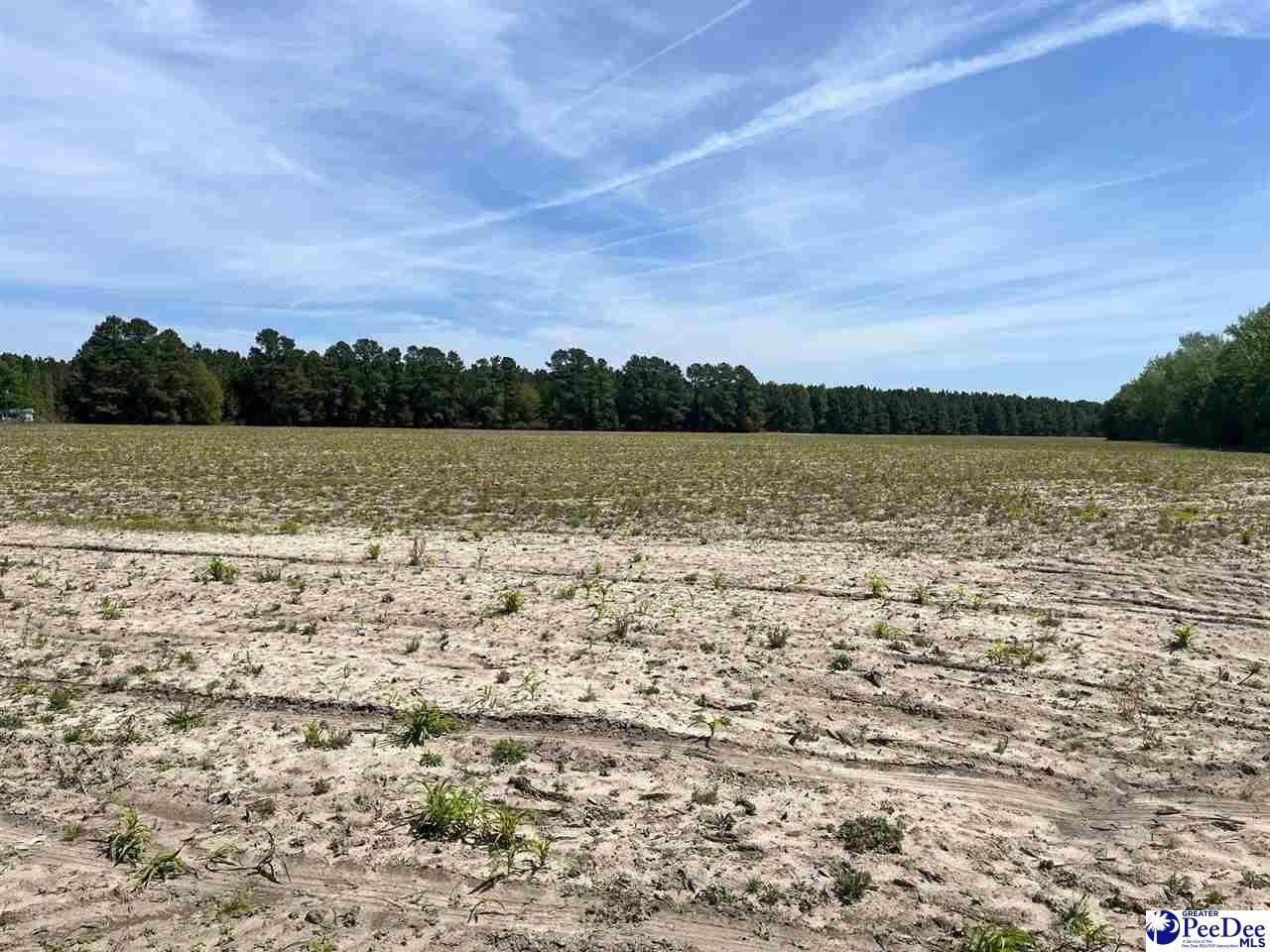 Mta 3 Judson Rd Photo 39