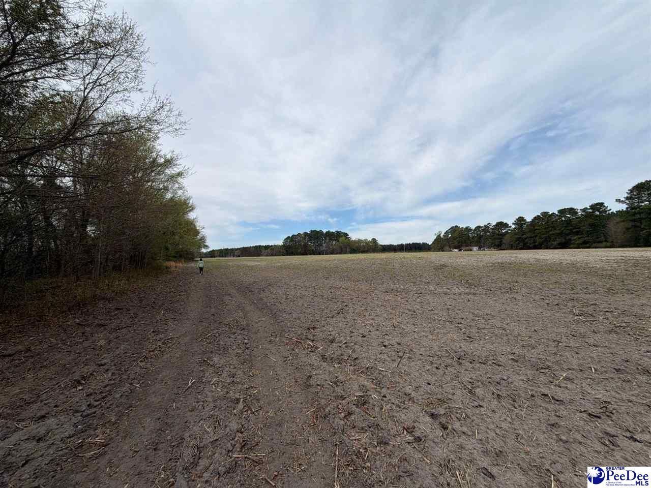 Mta 3 Judson Rd Photo 5