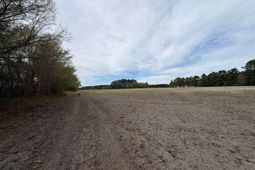 Mta 3 Judson Rd photo 4