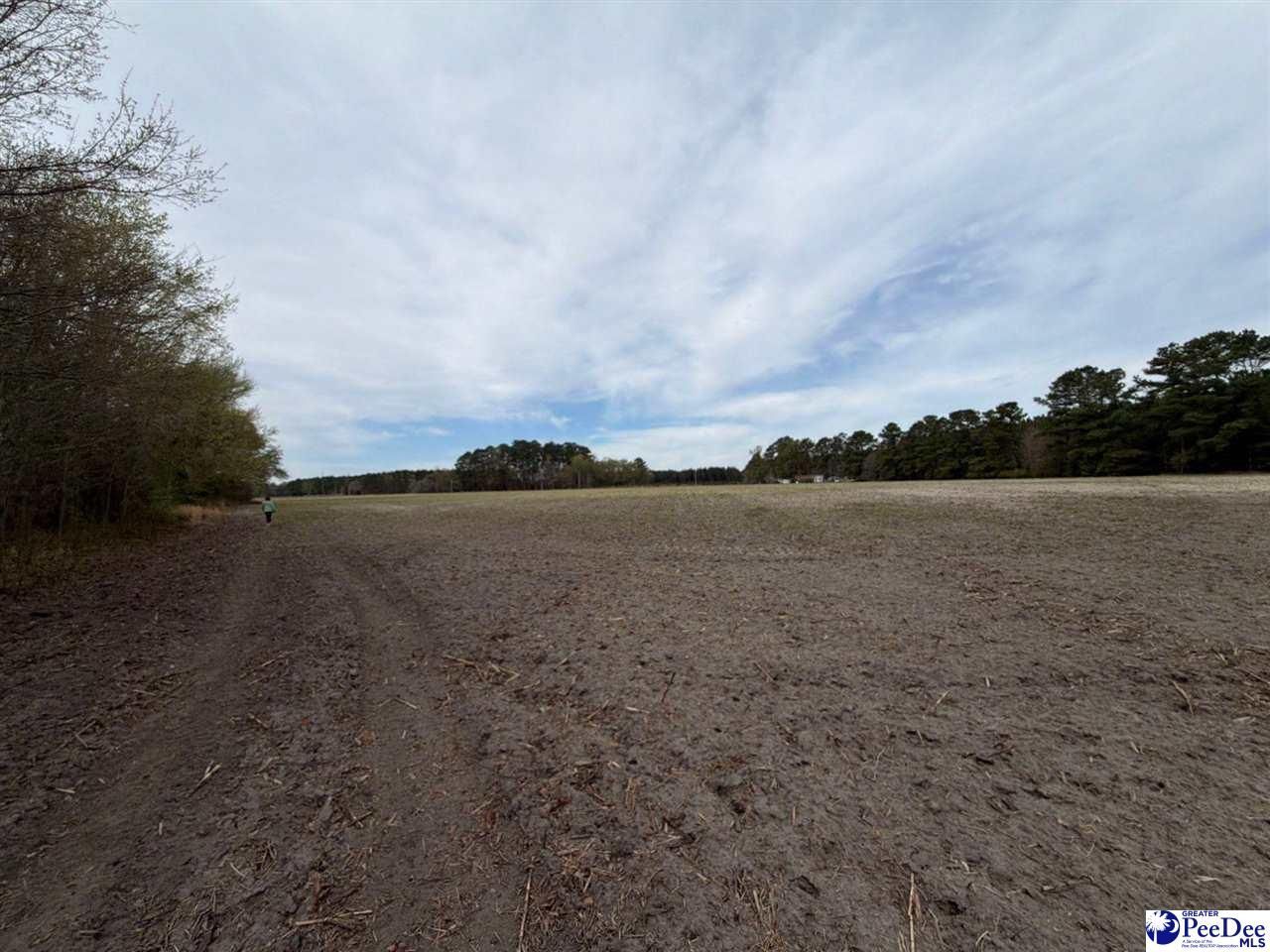 Mta 3 Judson Rd Photo 6