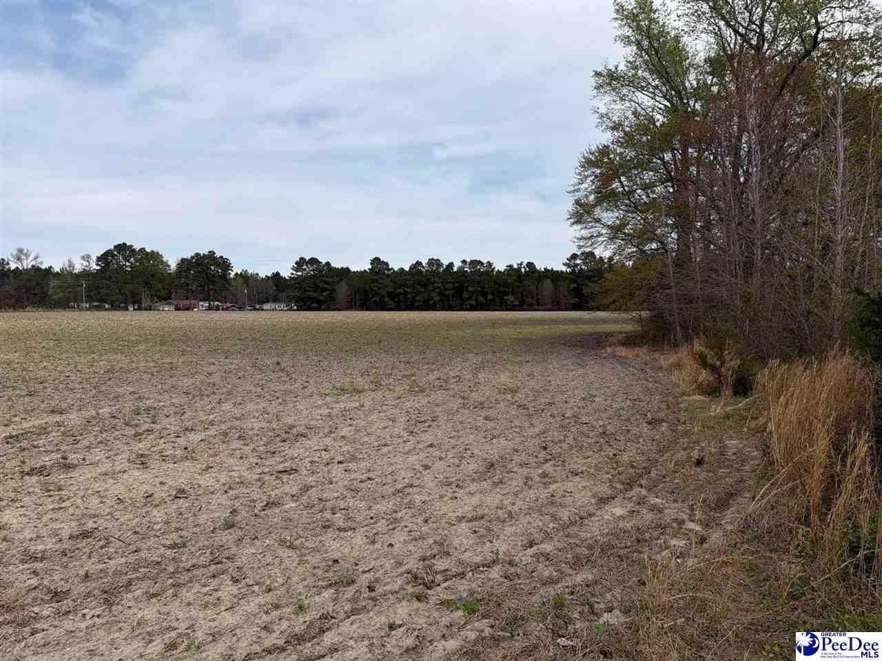 Mta 3 Judson Rd Photo 7