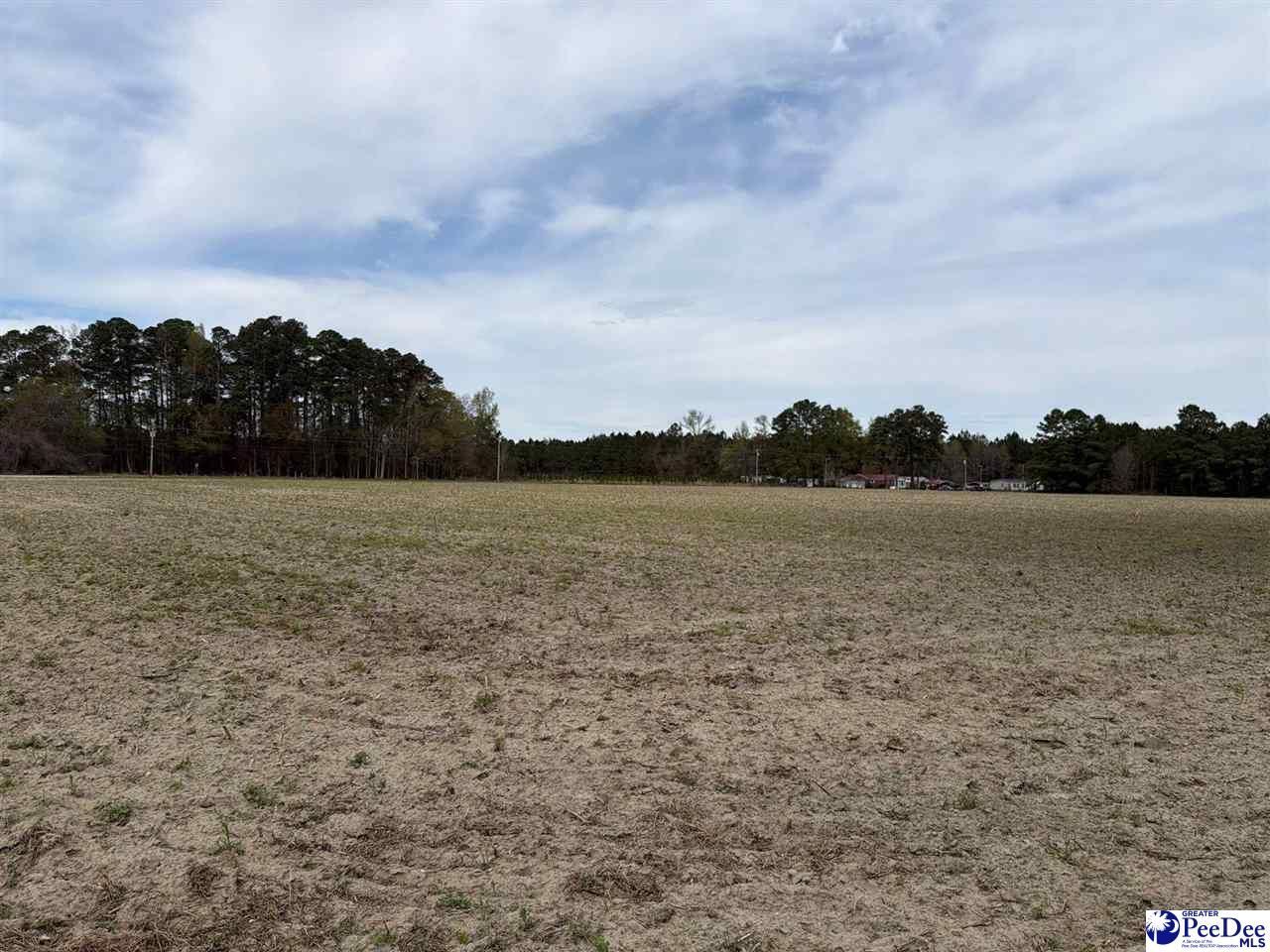 Mta 3 Judson Rd Photo 9