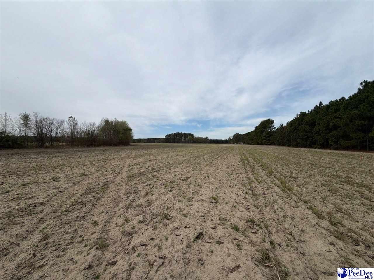 Mta 4 Heustess Rd Photo 10