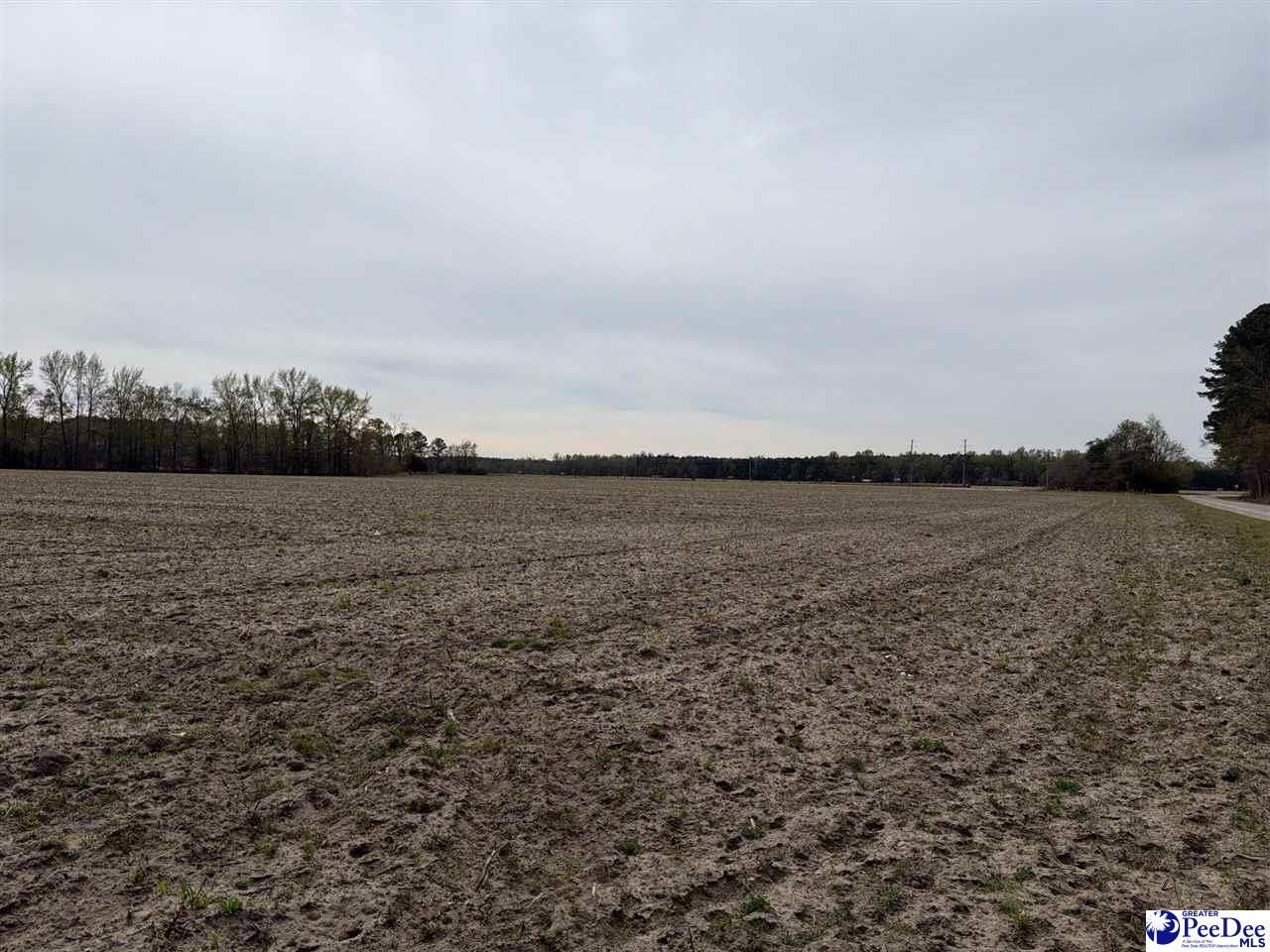 Mta 4 Heustess Rd Photo 11