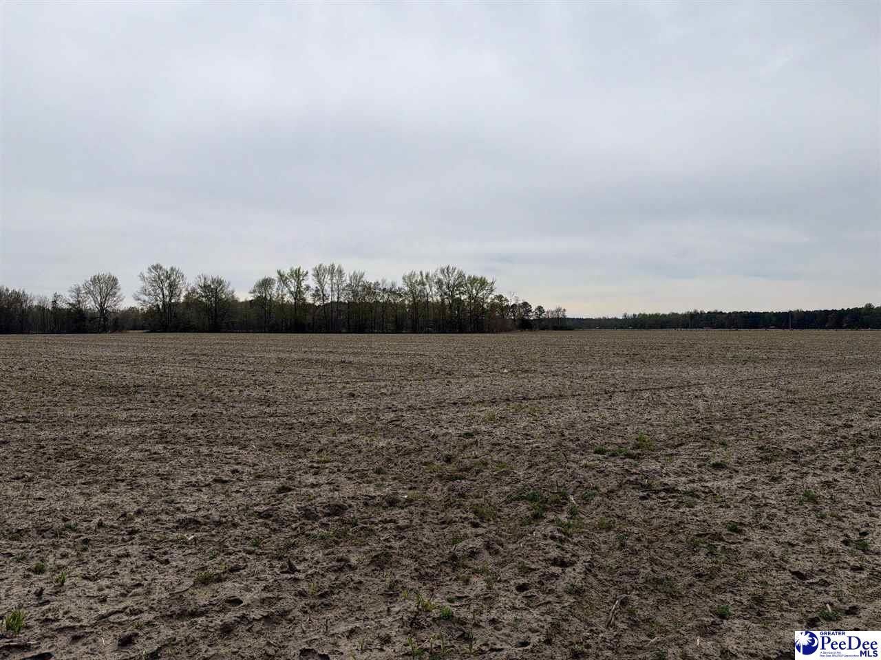 Mta 4 Heustess Rd Photo 12