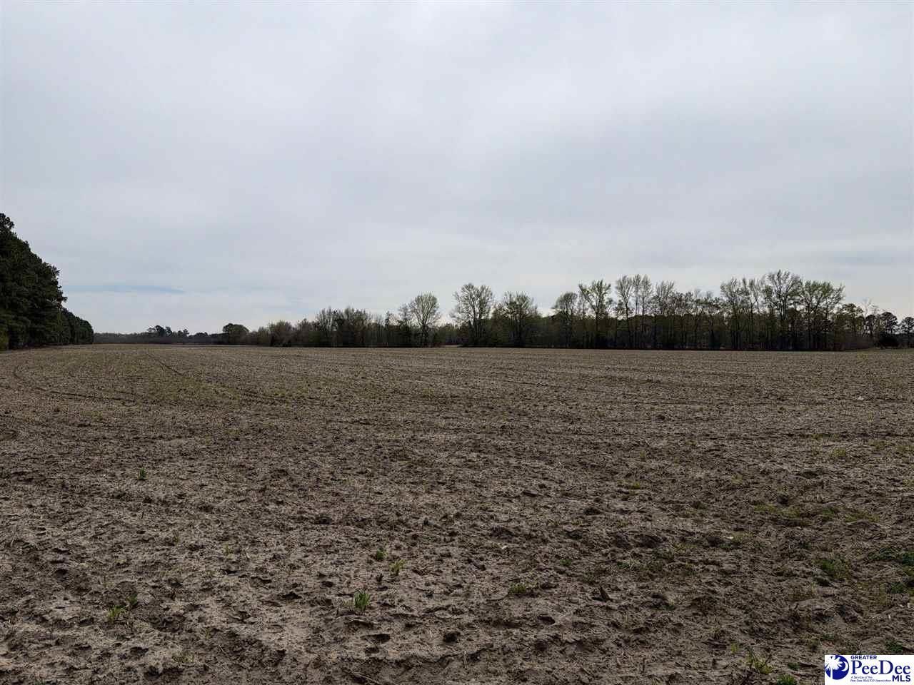 Mta 4 Heustess Rd Photo 13