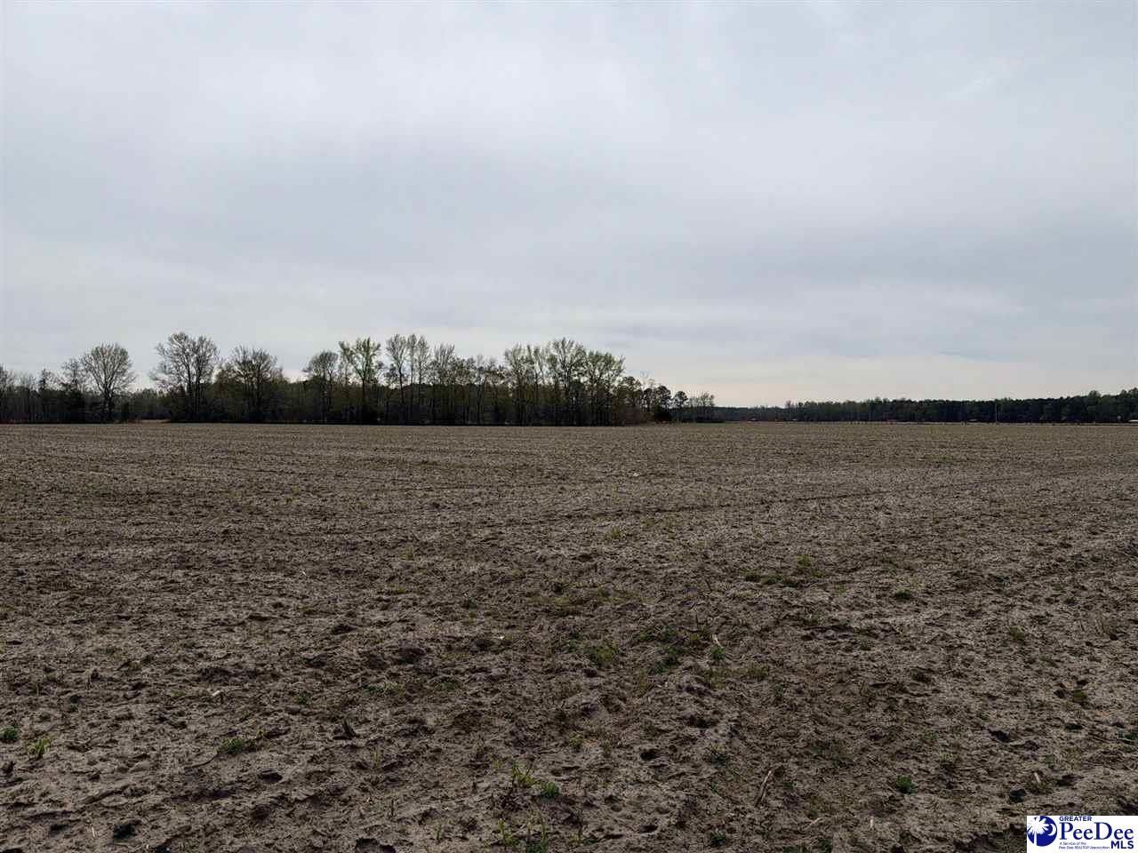 Mta 4 Heustess Rd Photo 14