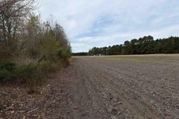 Mta 4 Heustess Rd photo 4