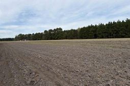 Mta 4 Heustess Rd photo 4