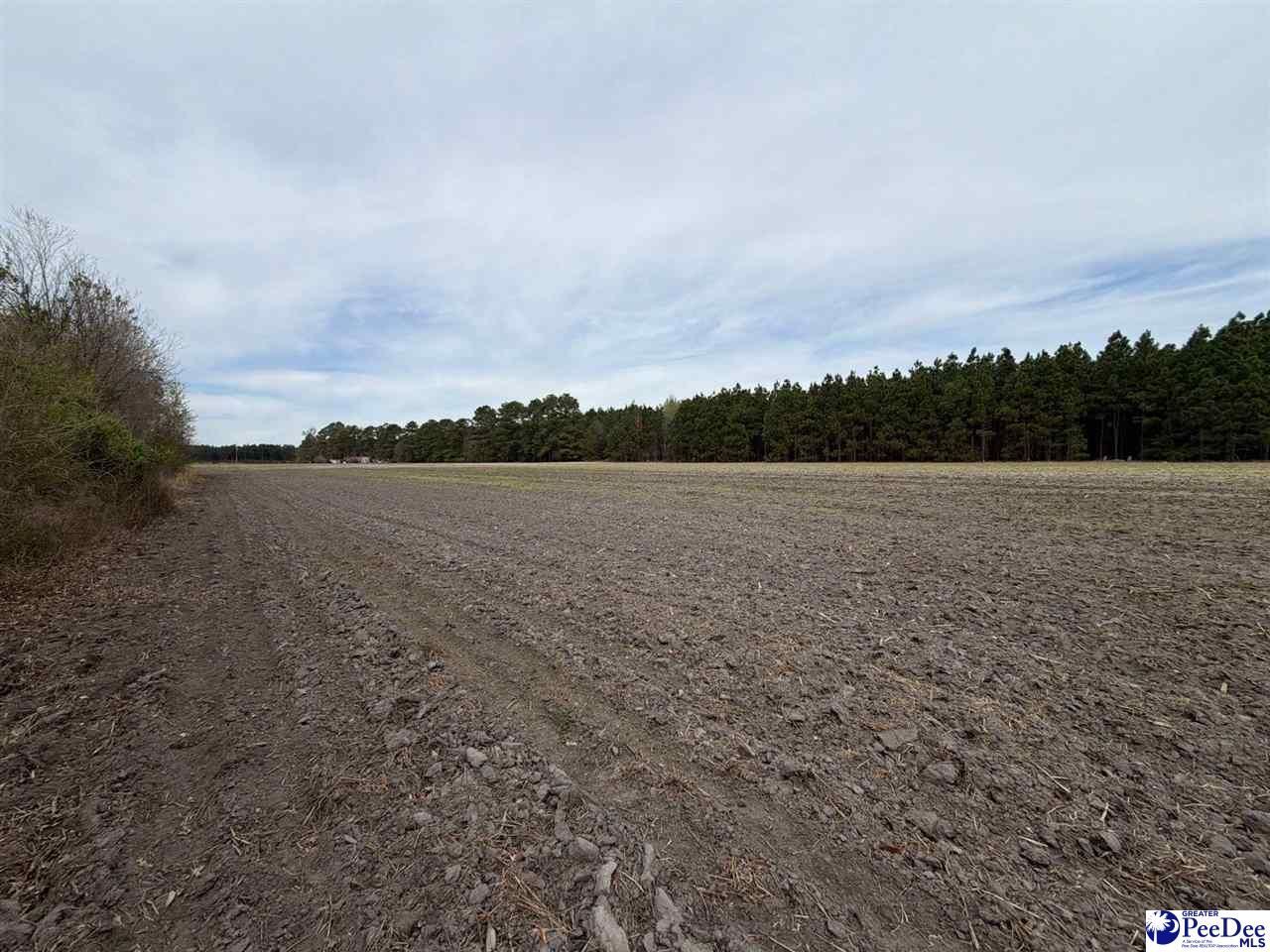 Mta 4 Heustess Rd Photo 4