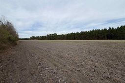 Mta 4 Heustess Rd photo 4