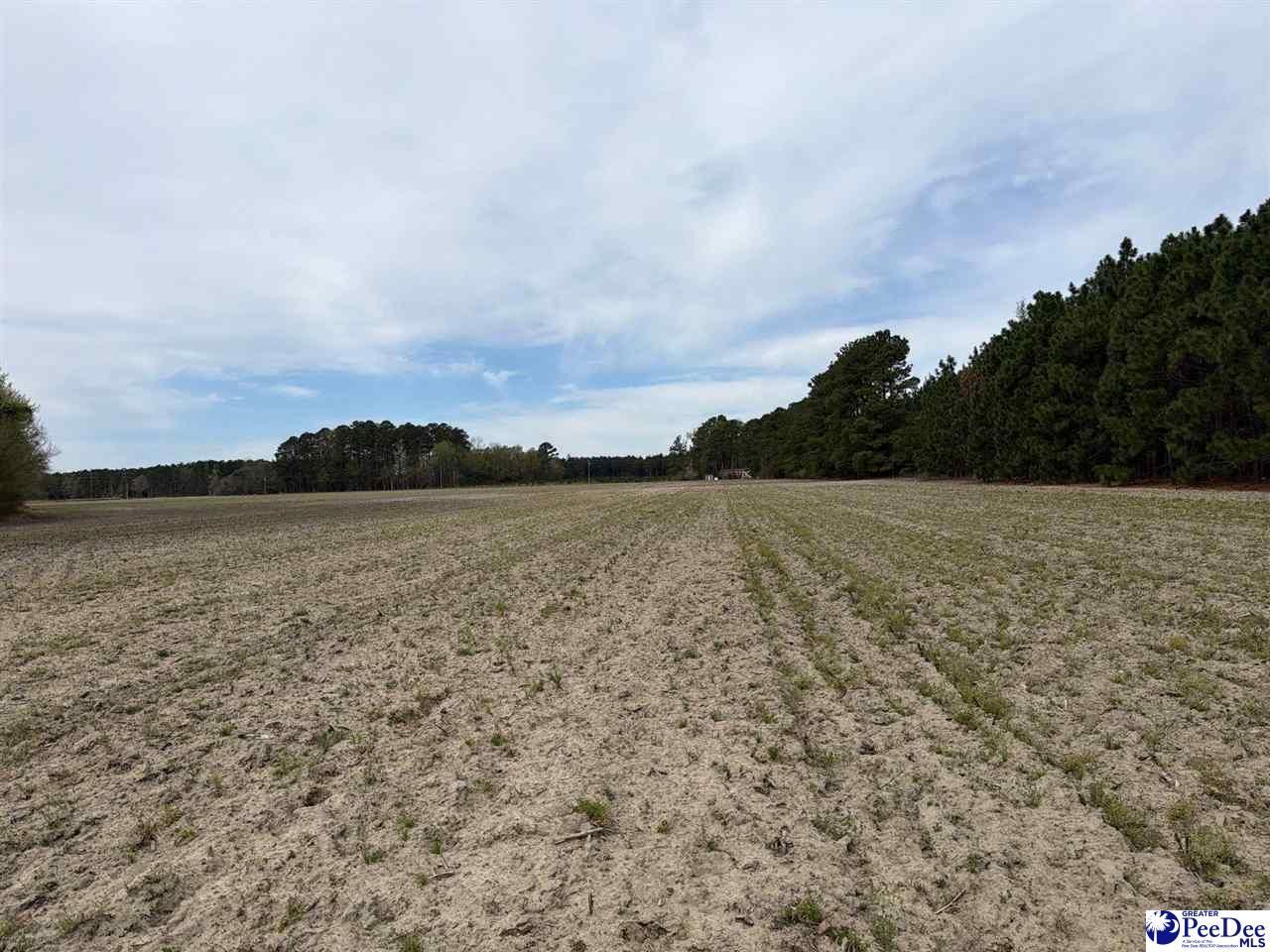 Mta 4 Heustess Rd Photo 5