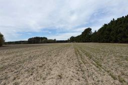 Mta 4 Heustess Rd photo 4