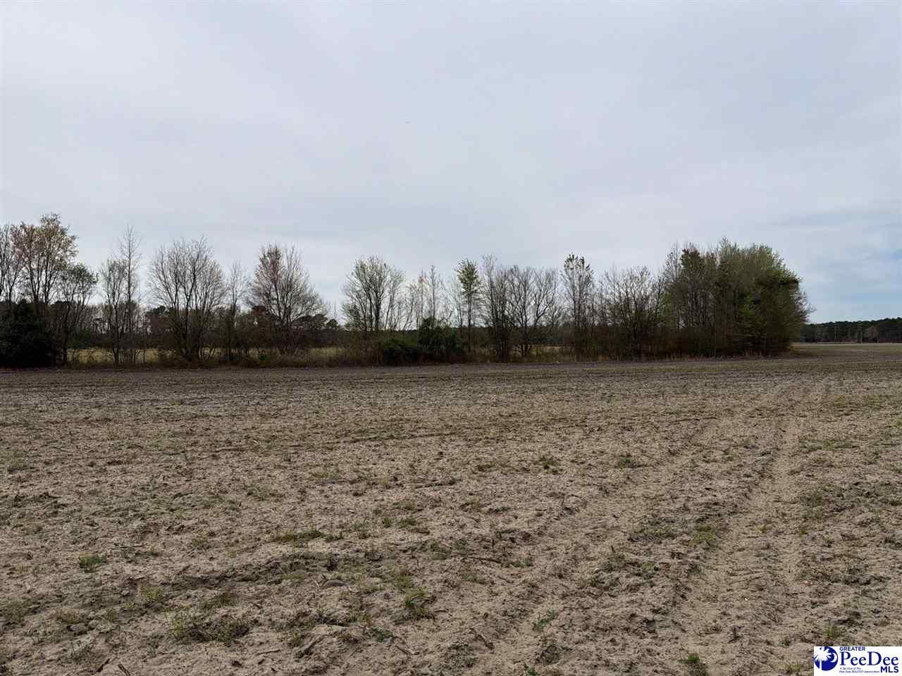 Mta 4 Heustess Rd Photo 6