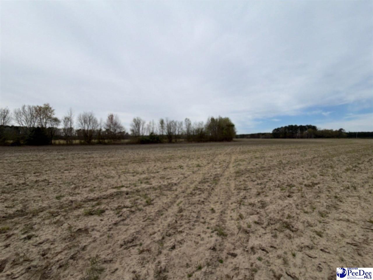 Mta 4 Heustess Rd Photo 7