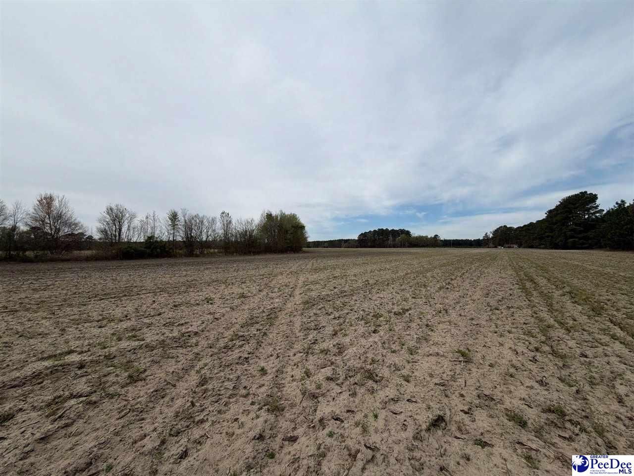 Mta 4 Heustess Rd Photo 8