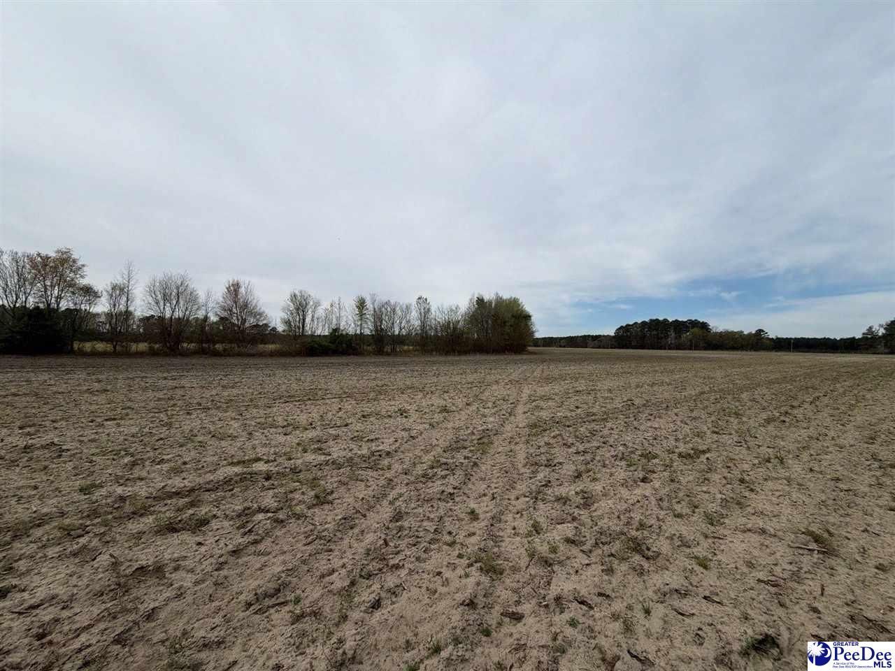 Mta 4 Heustess Rd Photo 9