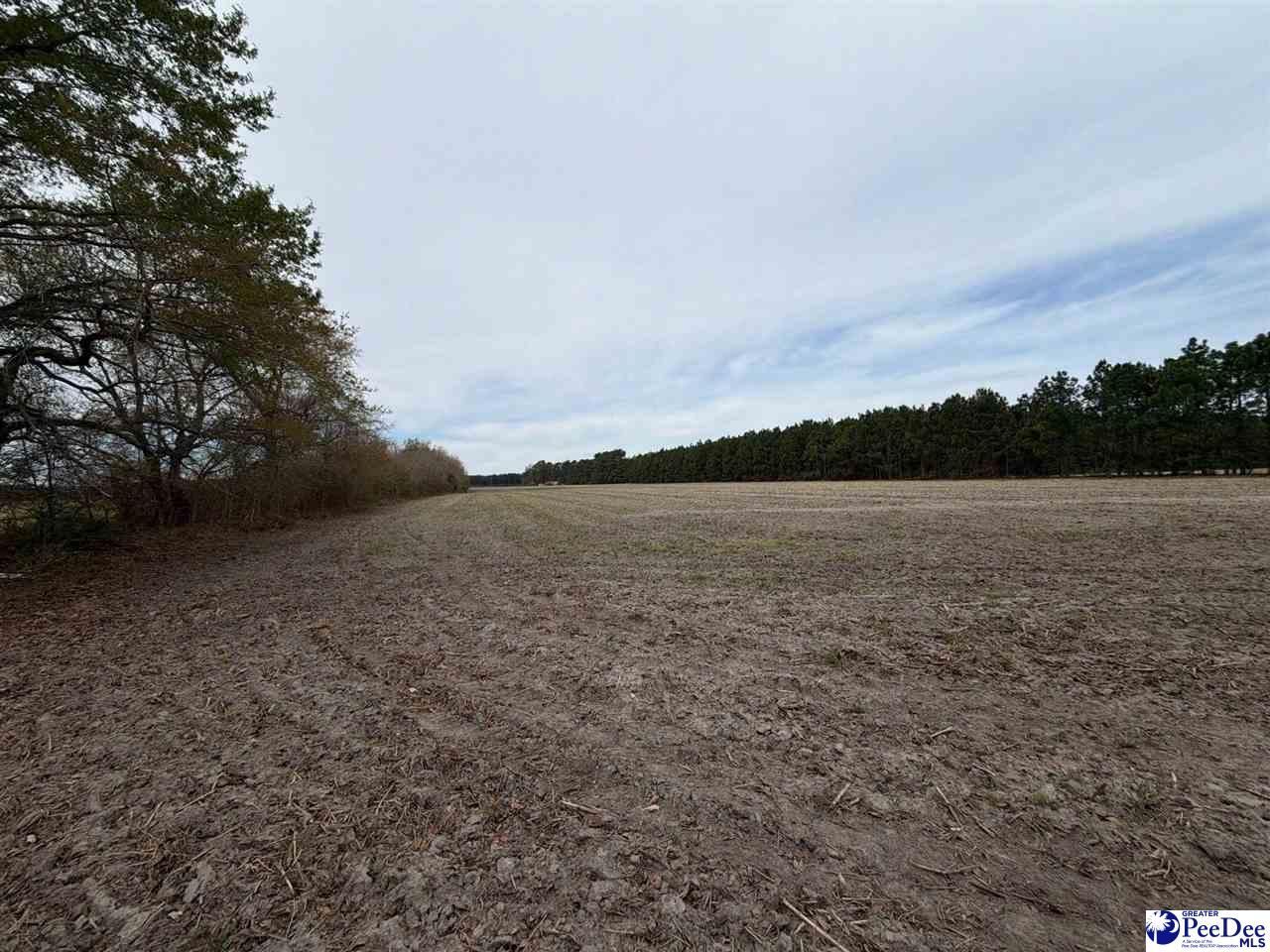 Mta 5 Heustess Rd Photo 10