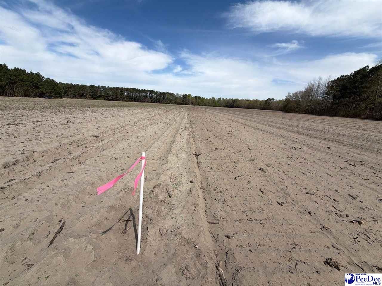 Mta 5 Heustess Rd Photo 11