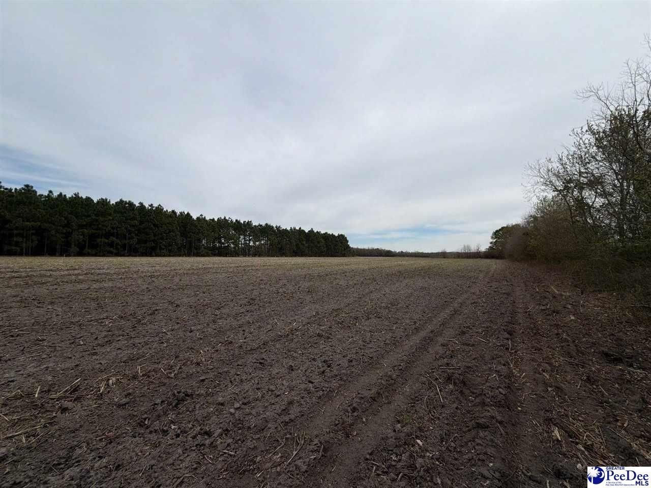 Mta 5 Heustess Rd Photo 12