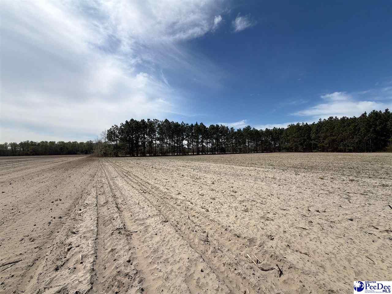 Mta 5 Heustess Rd Photo 13