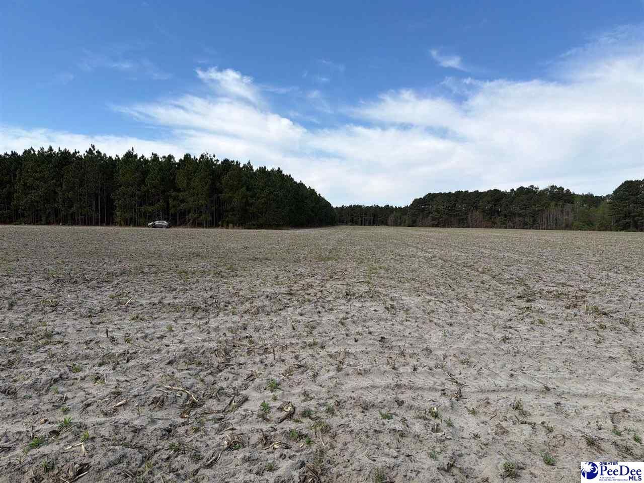 Mta 5 Heustess Rd Photo 14