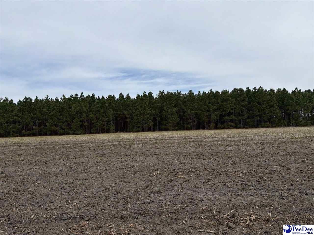 Mta 5 Heustess Rd Photo 15