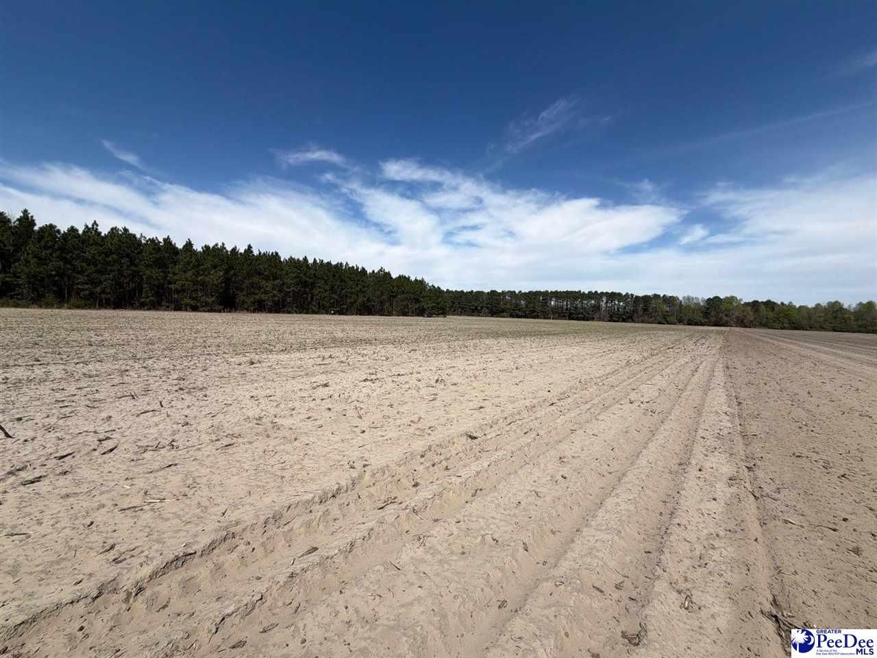 Mta 5 Heustess Rd Photo 16