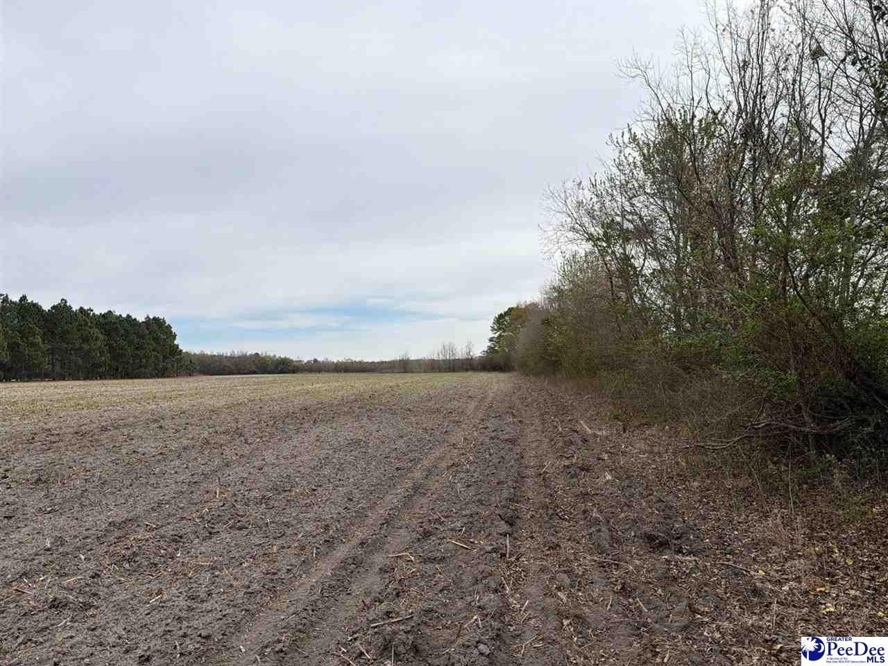 Mta 5 Heustess Rd Photo 17