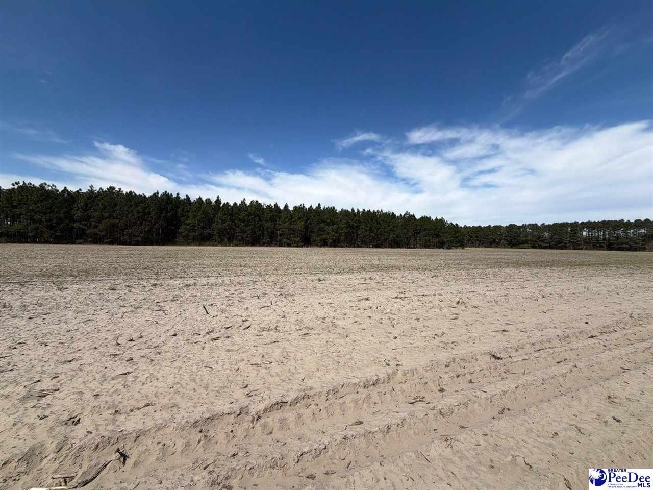 Mta 5 Heustess Rd Photo 18