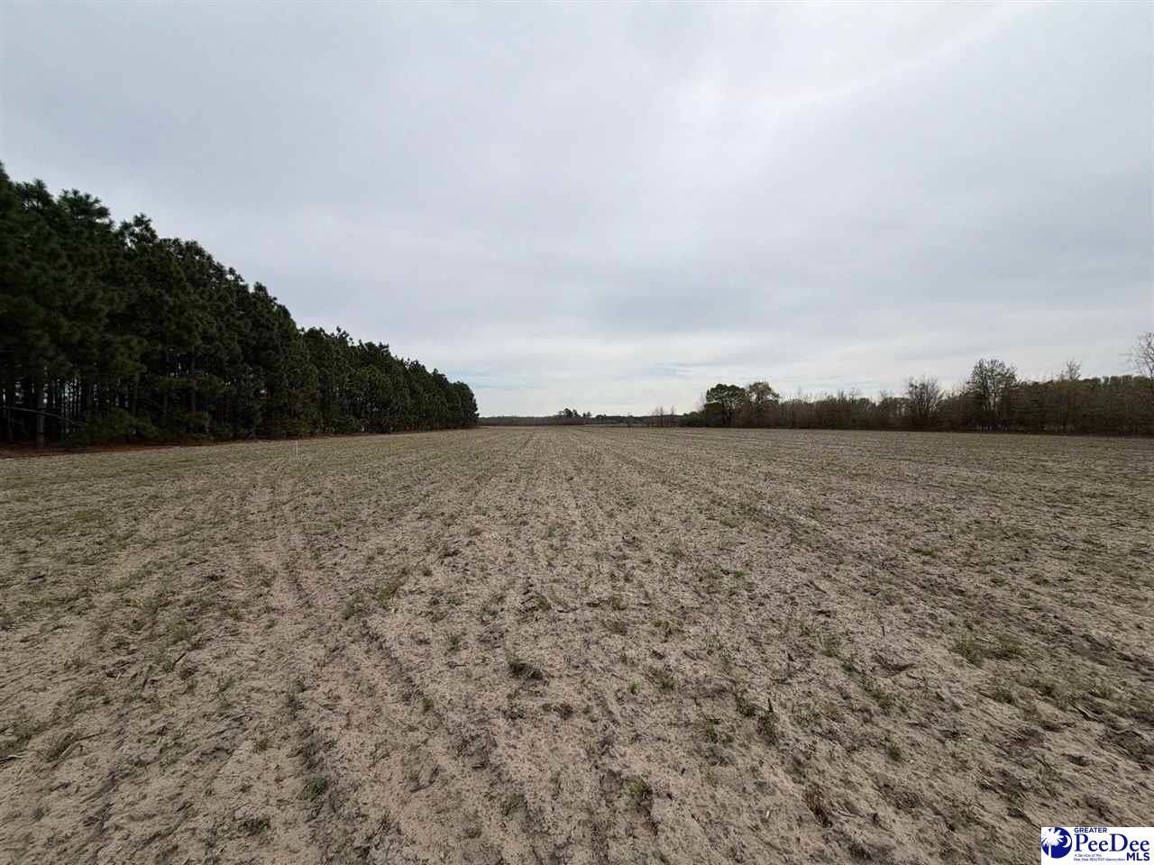 Mta 5 Heustess Rd Photo 19